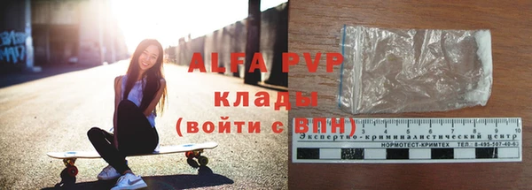 прущий лед Богданович