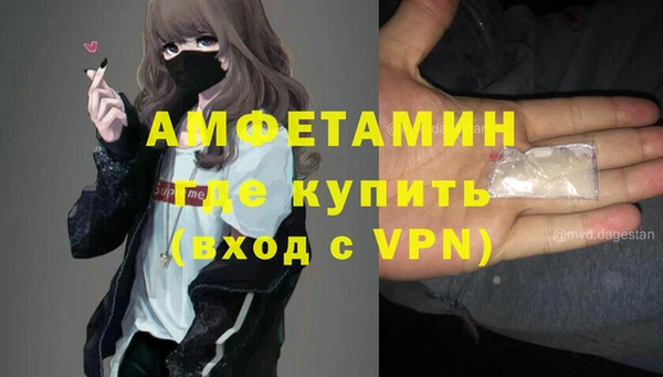 шишки Верея
