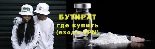 шишки Верея