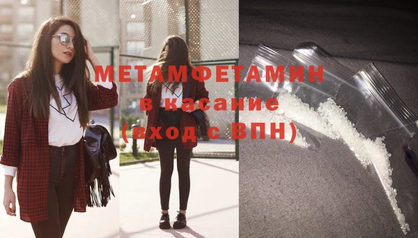 шишки Верея