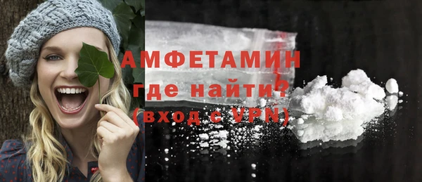 шишки Верея