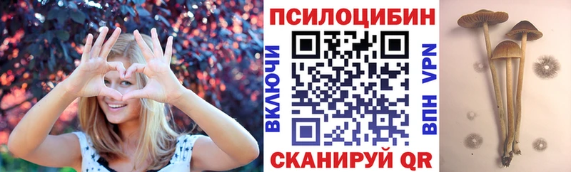 Галлюциногенные грибы прущие грибы  Давлеканово 